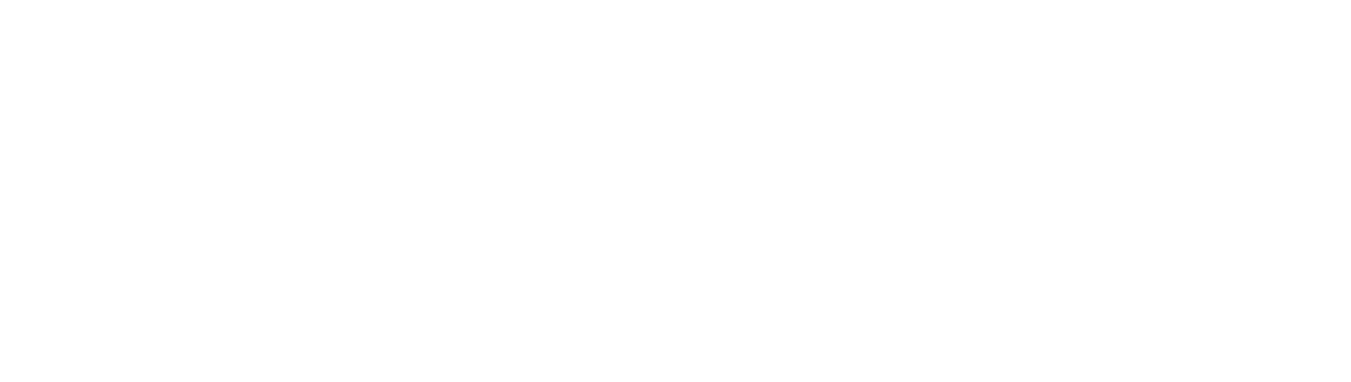 Lake City Marine Logo